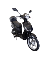 Bici Elettrica Scooter Velocipede Vitale NJT-007 250W 20Ah 48V Batteria a Grafene