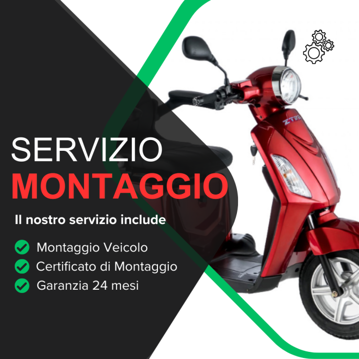 Servizio Accessorio Montaggio Veicolo Z-Tech ZT-15