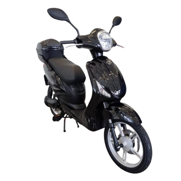 Bici Elettrica Scooter Velocipede Vitale NJT-007 250W  20Ah 48V Batteria a Grafene